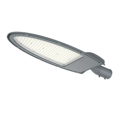 100 Watt Street Light